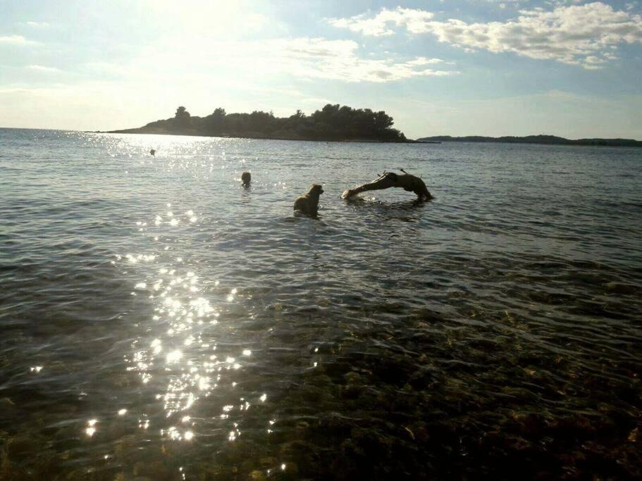 Our Stone Corner Holiday home *