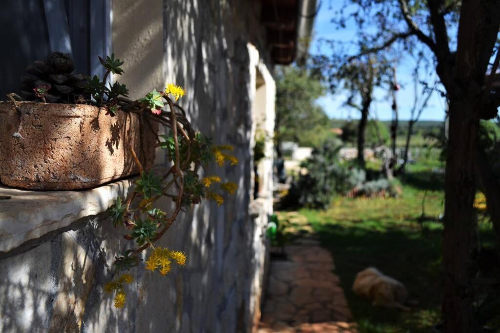 Our Stone Corner Holiday home *