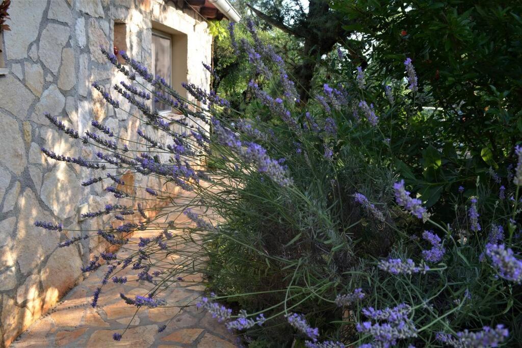 Our Stone Corner Holiday home Rovinj
