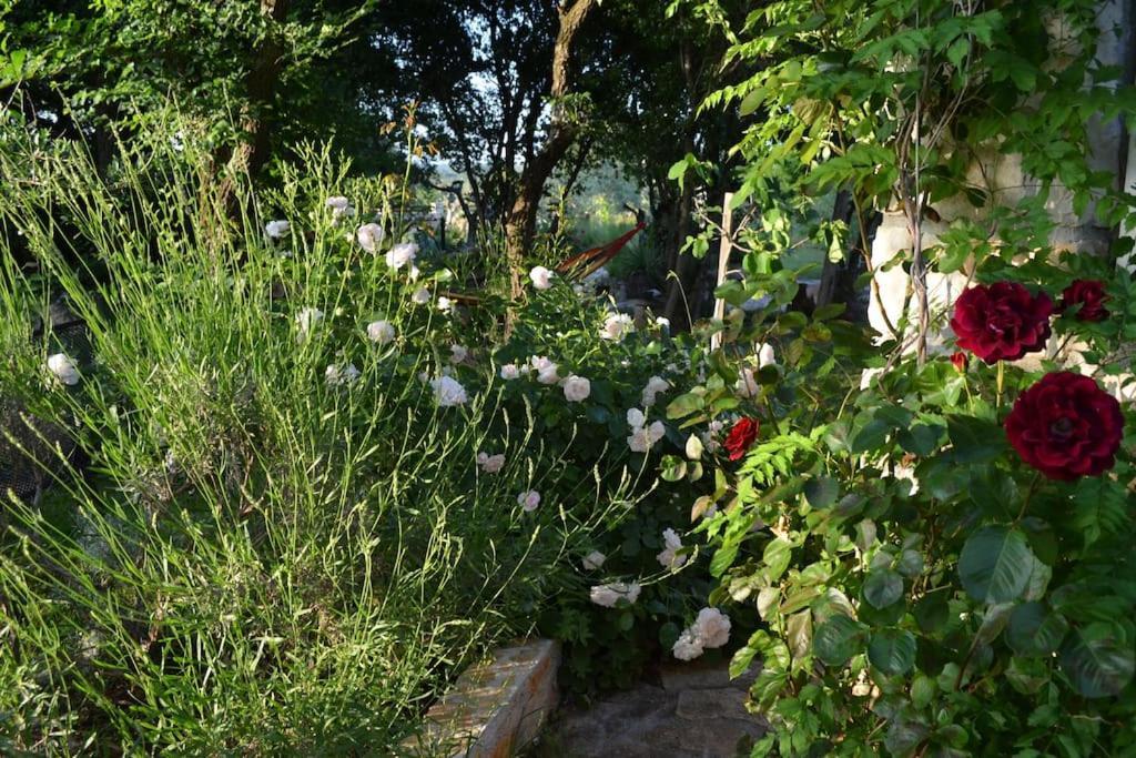 Our Stone Corner Holiday home *
